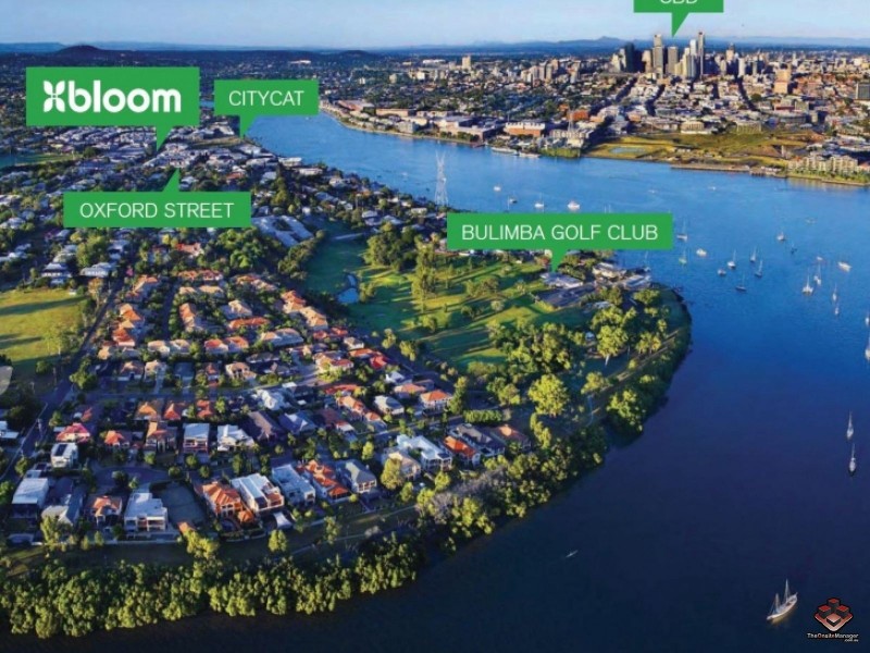 38 Love Street, Bulimba QLD 4171