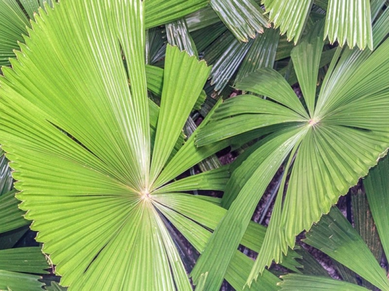 86 – 124 Ogden St, Townsville City QLD 4810