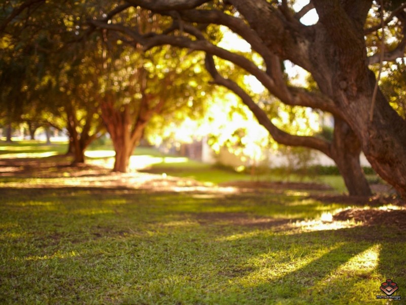 52 Crosby Road, Albion QLD 4010