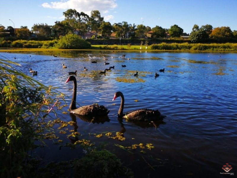 2 Inland Drive, Tugun QLD 4224