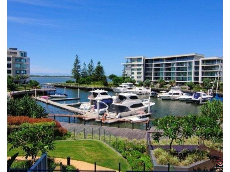 ID:3857161/323 Bayview Street, Runaway Bay QLD 4216