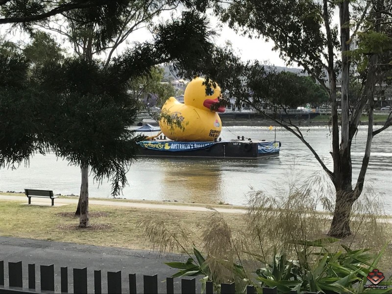 25 Duncan Street, West End QLD 4101