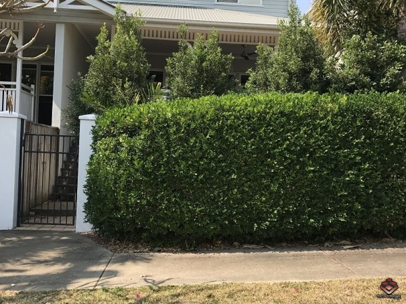 26/42 Warburton Street, North Ward QLD 4810