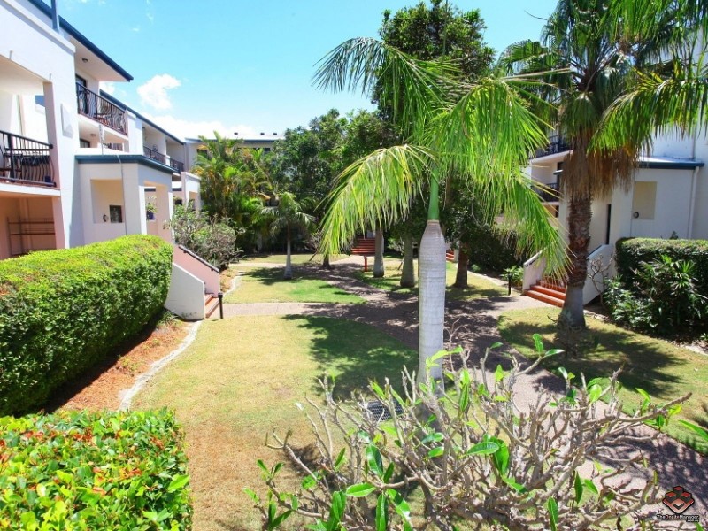 38 Labrador Street, Labrador QLD 4215