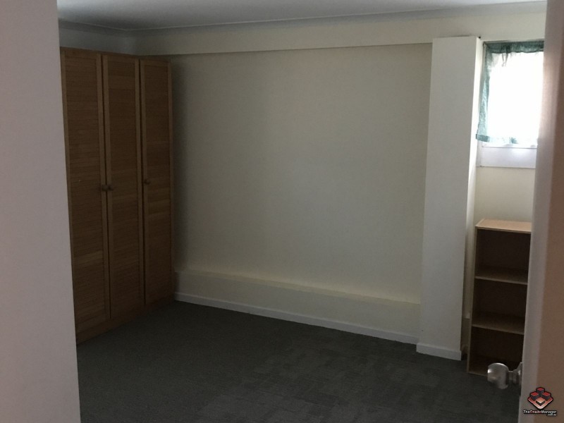 8 Blackwattle Street, Macgregor QLD 4109