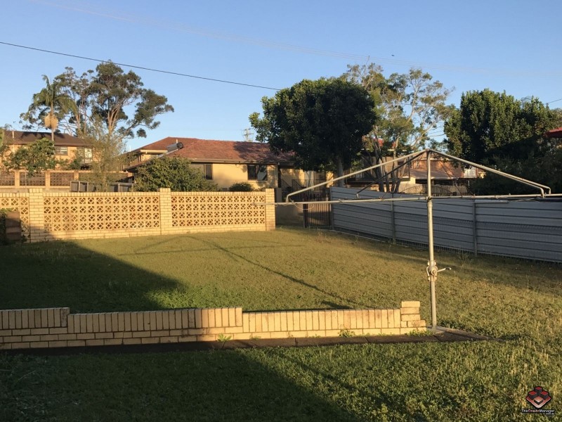 8 Blackwattle Street, Macgregor QLD 4109