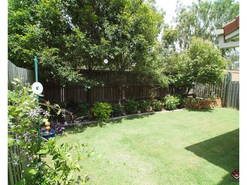 13 Springfield College Drive, Springfield QLD 4300