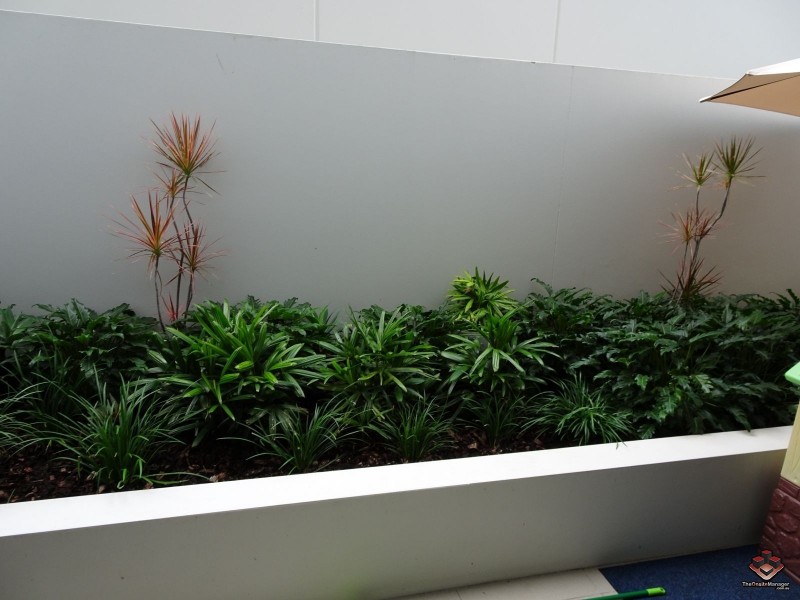 25 Duncan Street, West End QLD 4101