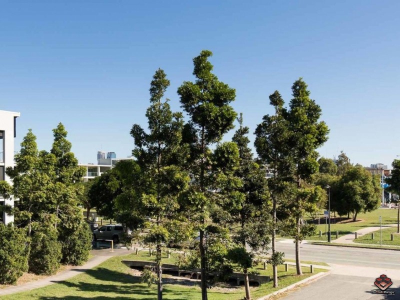 33/70 Love Street, Bulimba QLD 4171