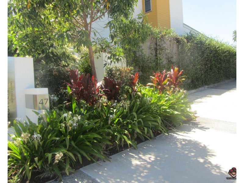 47 Ballinderry Street, Everton Park QLD 4053