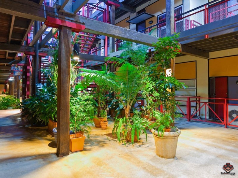 53 Vernon Terrace, Teneriffe QLD 4005