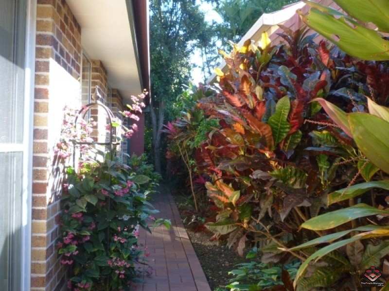12 McKenzie Place, Forest Lake QLD 4078