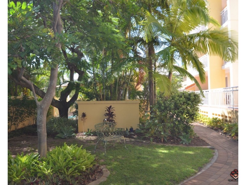 37 Mawarra Street, Chevron Island QLD 4217