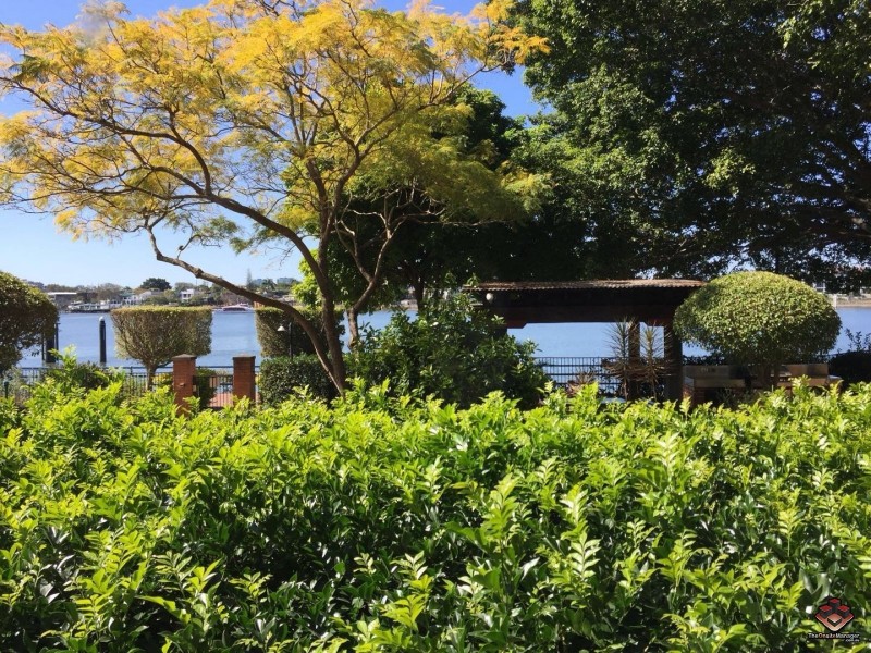 53 Vernon Terrace, Teneriffe QLD 4005