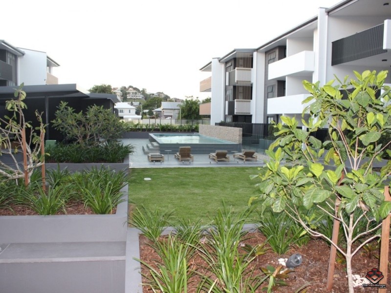 39 Banya Street, Bulimba QLD 4171