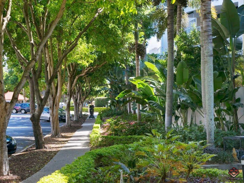 310/ 1 Gray Street, New Farm QLD 4005