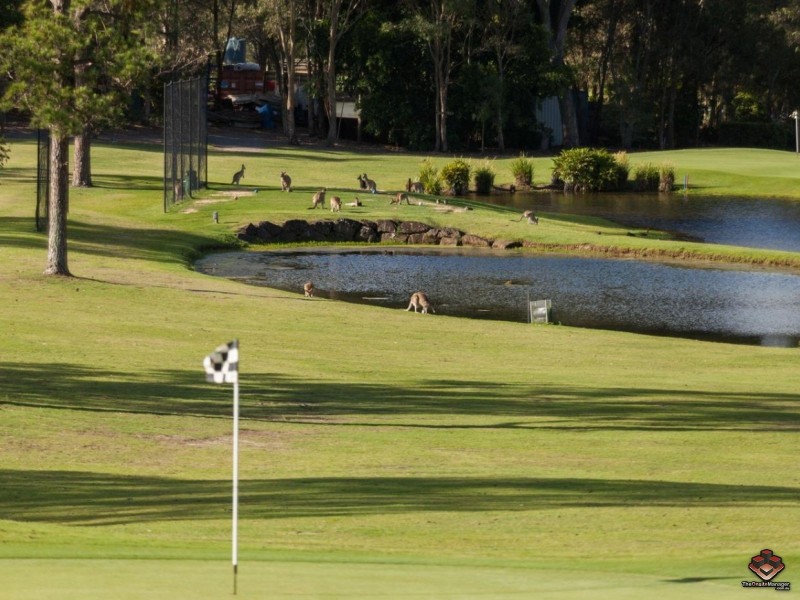 433 Brisbane Road, Coombabah QLD 4216