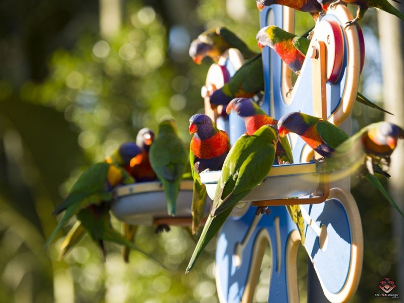 10 Holmead Road, Eight Mile Plains QLD 4113