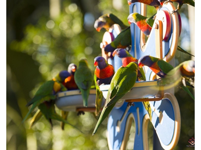 10 Holmead Road, Eight Mile Plains QLD 4113