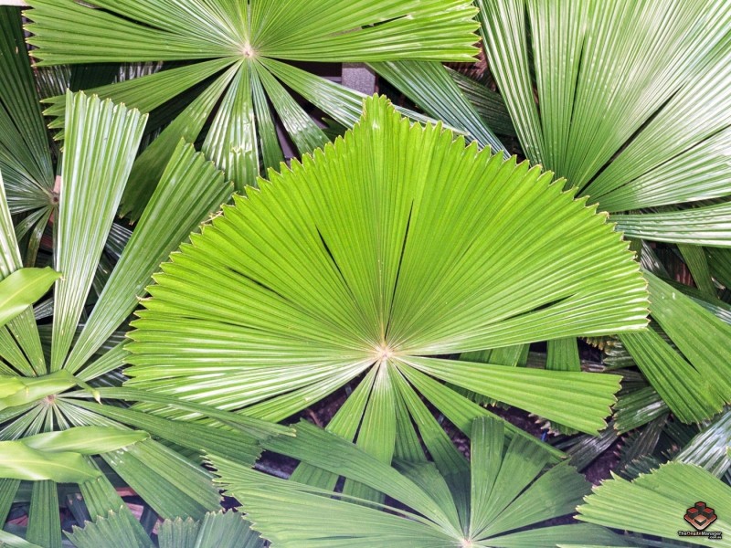 86-124 Ogden Street, Townsville City QLD 4810