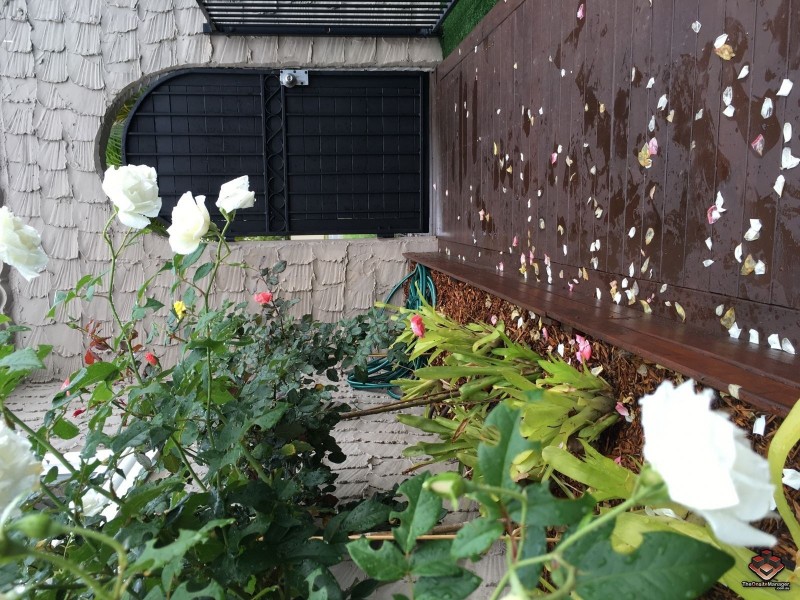 42 Markeri Street, Mermaid Waters QLD 4218