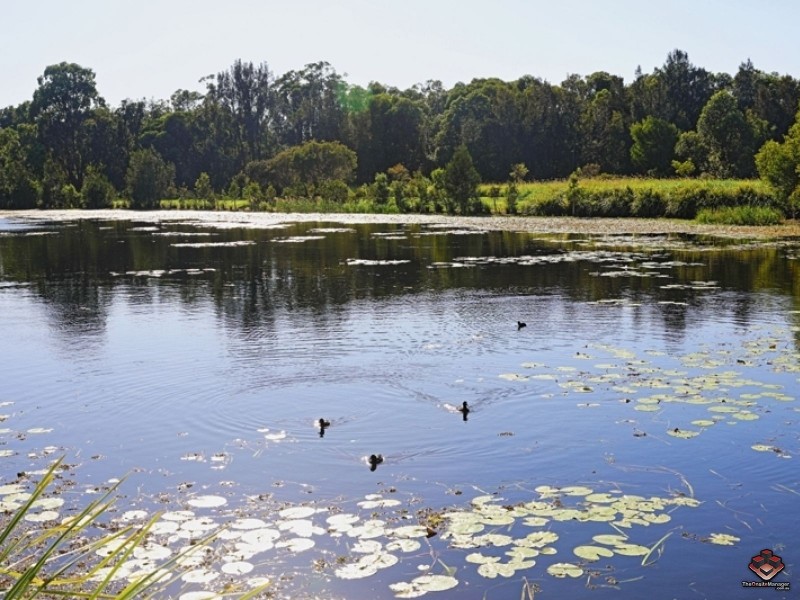 Unit 77/2 Inland Drive, Tugun QLD 4224