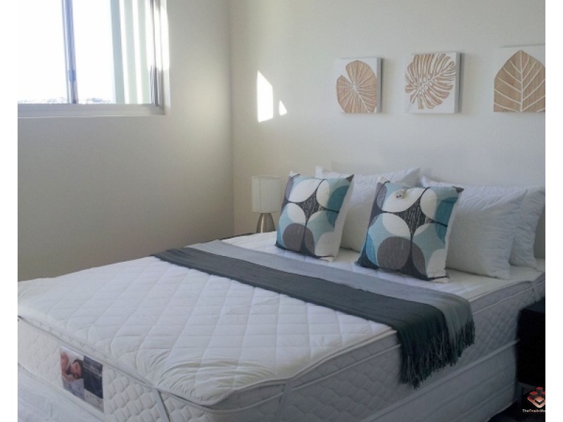 ID:3875531/32 Agnes Street, Albion QLD 4010