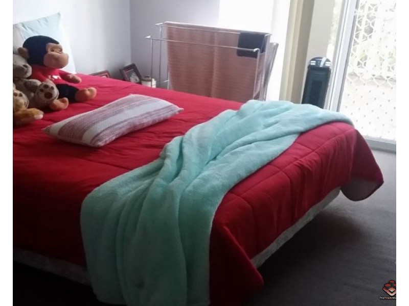 25 Darrambal Street, Surfers Paradise QLD 4217