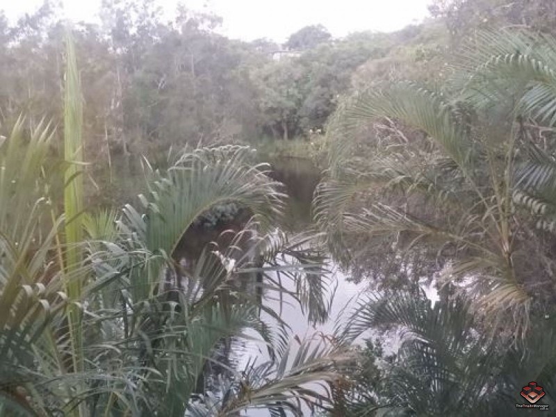 Tugun QLD 4224