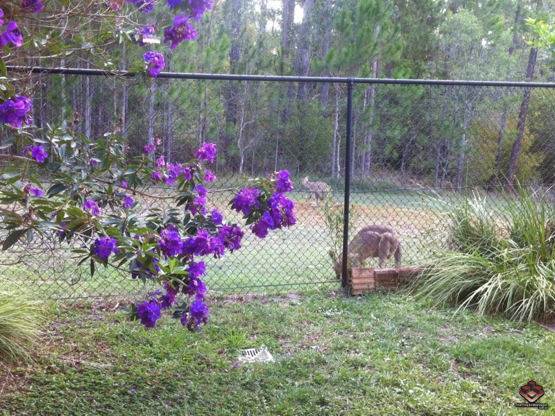 433 Brisbane Road, Arundel QLD 4214