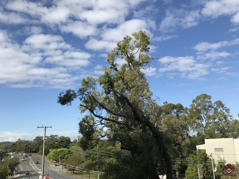 8 Lochaber Street, Dutton Park QLD 4102