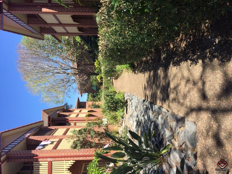 100 Racecourse Drive, Bundall QLD 4217