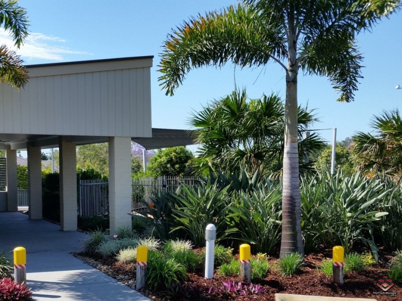 Pacific Pines QLD 4211