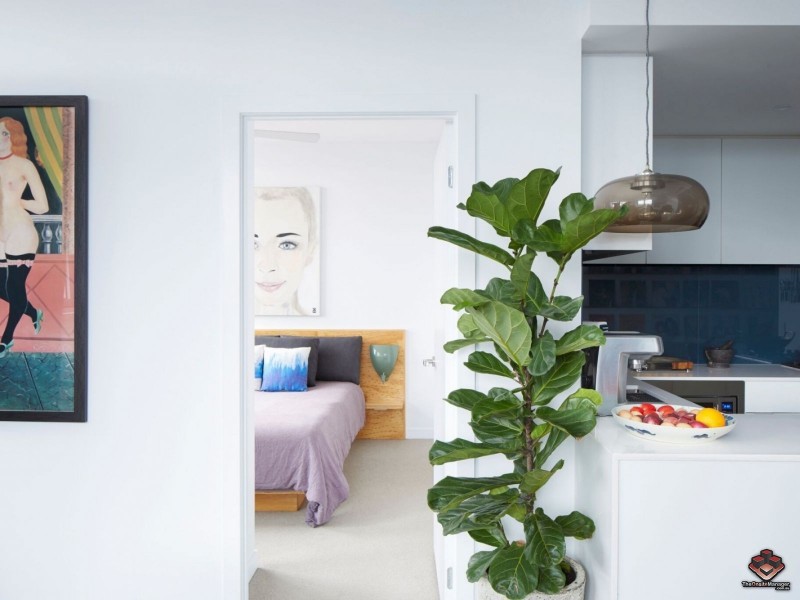 Apt 813 128 Brookes St, Fortitude Valley QLD 4006