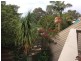 48 Martin Street, Nerang QLD 4211