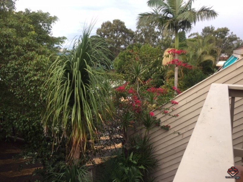 48 Martin Street, Nerang QLD 4211