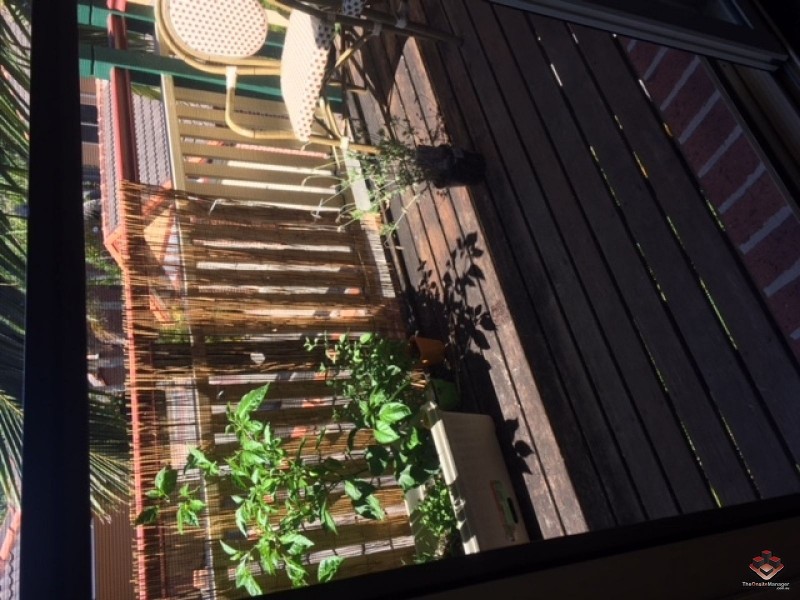 100 Racecourse Drive, Bundall QLD 4217