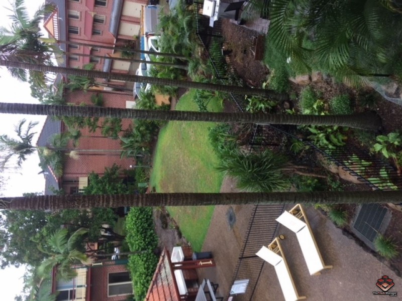 100 Racecourse Drive, Bundall QLD 4217