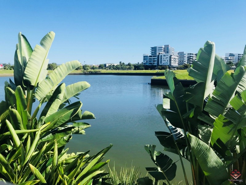 31 East Quay Drive, Biggera Waters QLD 4216