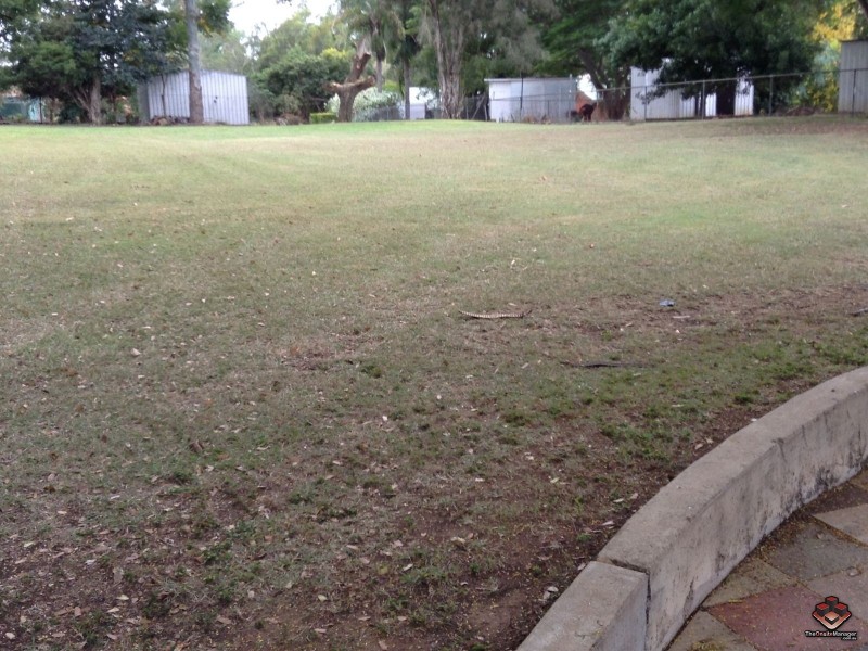 Redbank Plains QLD 4301