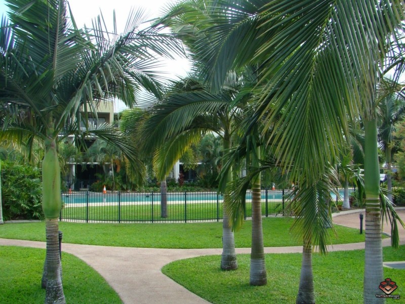 111-127 Bowen Road, Rosslea QLD 4812