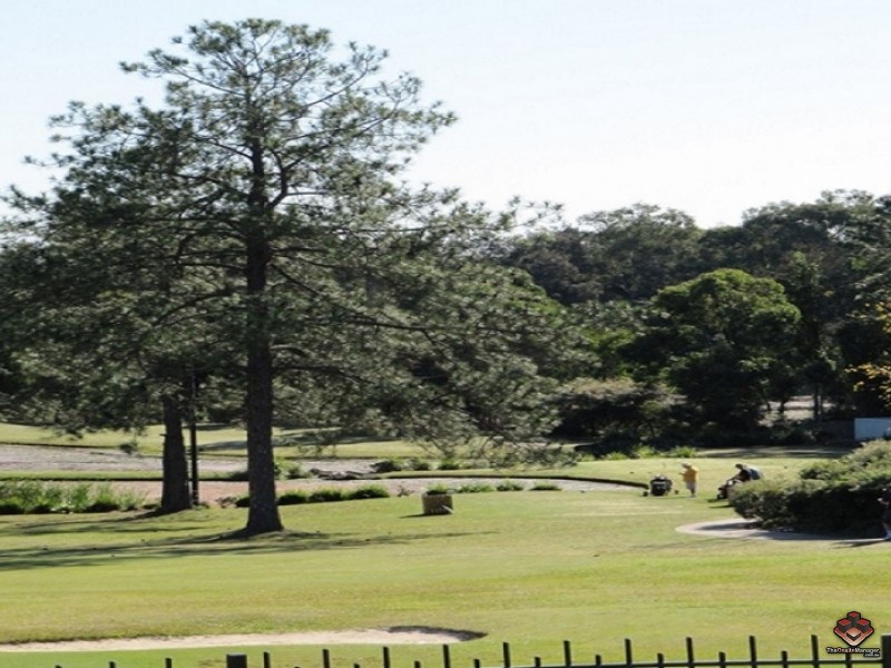 433 Brisbane Road, Coombabah QLD 4216