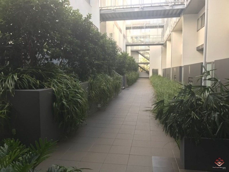 1 Ella Street, Newstead QLD 4006