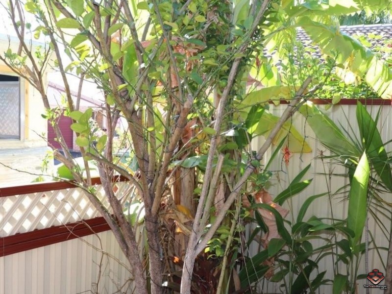 131/128 Benowa Road, Southport QLD 4215