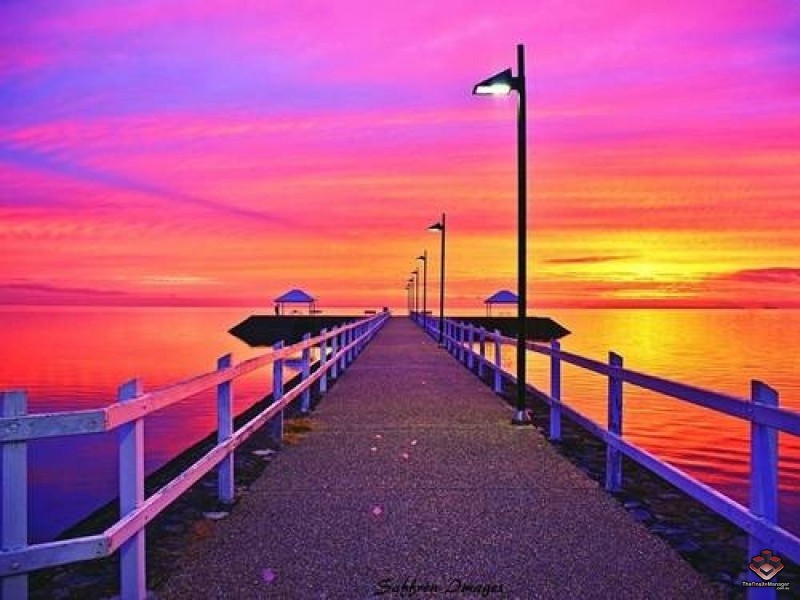 20 Federation Street, Wynnum West QLD 4178