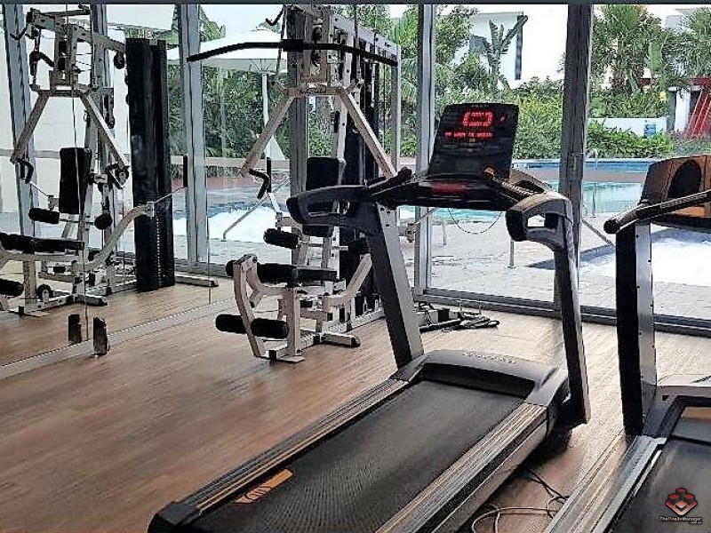 31 East Quay Drive, Biggera Waters QLD 4216