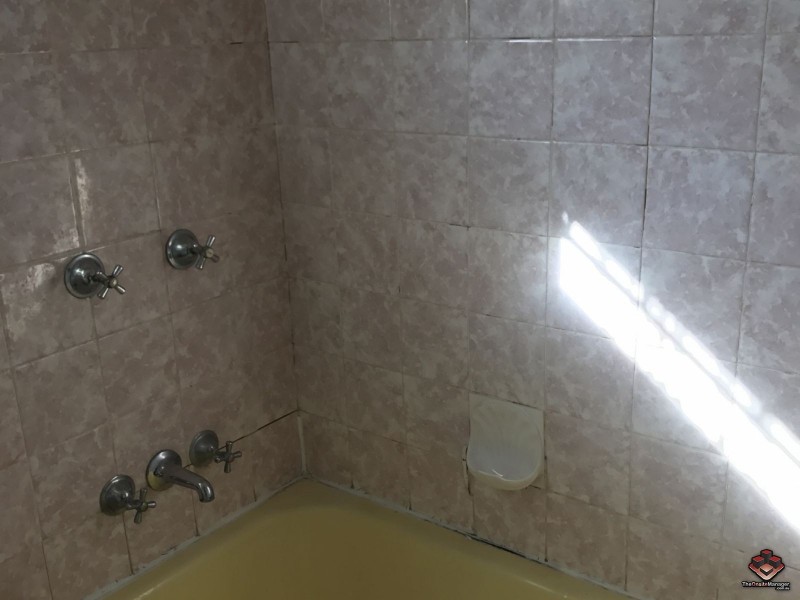 54 Cortis Street, Mount Gravatt East QLD 4122