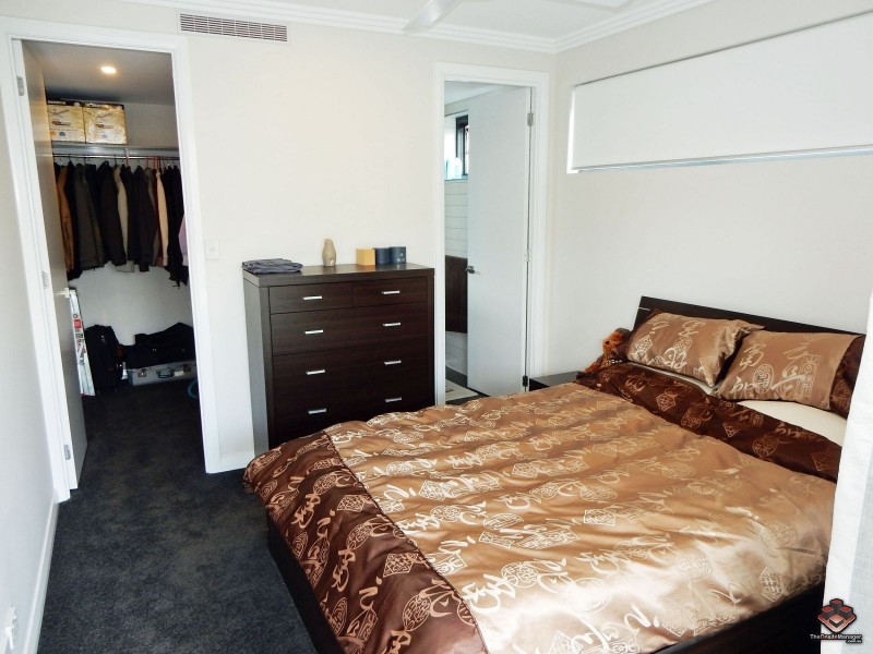 38 Love Street, Bulimba QLD 4171