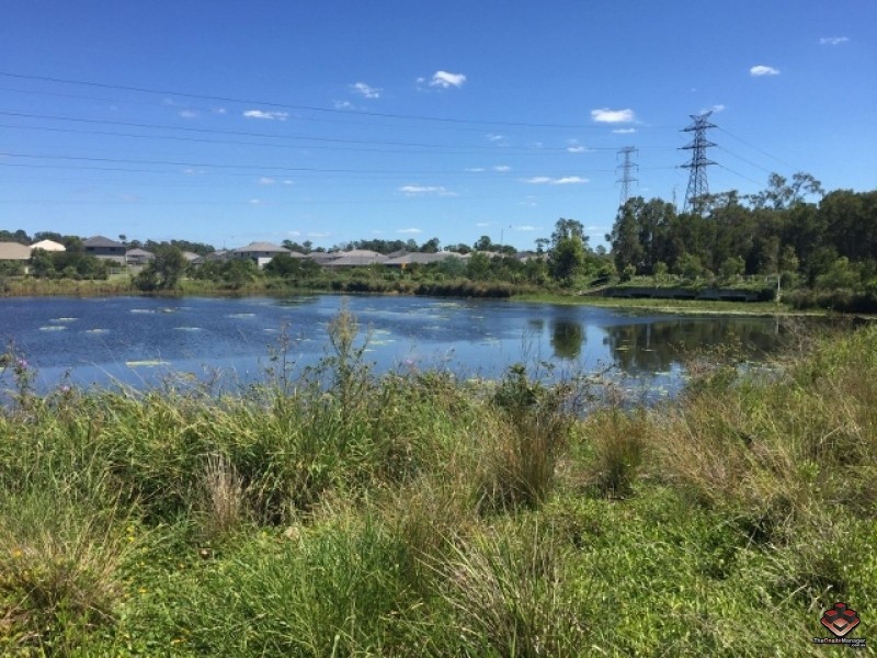 30 White Ibis Drive, Griffin QLD 4503