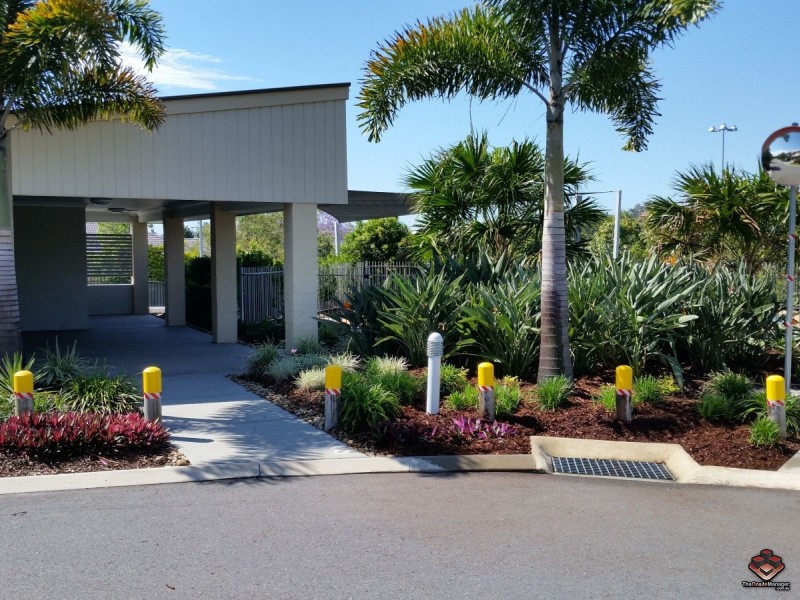 Pacific Pines QLD 4211